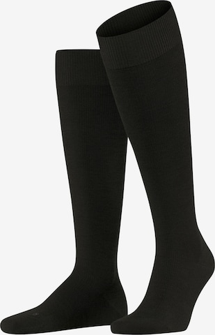 FALKE Knee High Socks 'Energizing Wool' in Brown: front