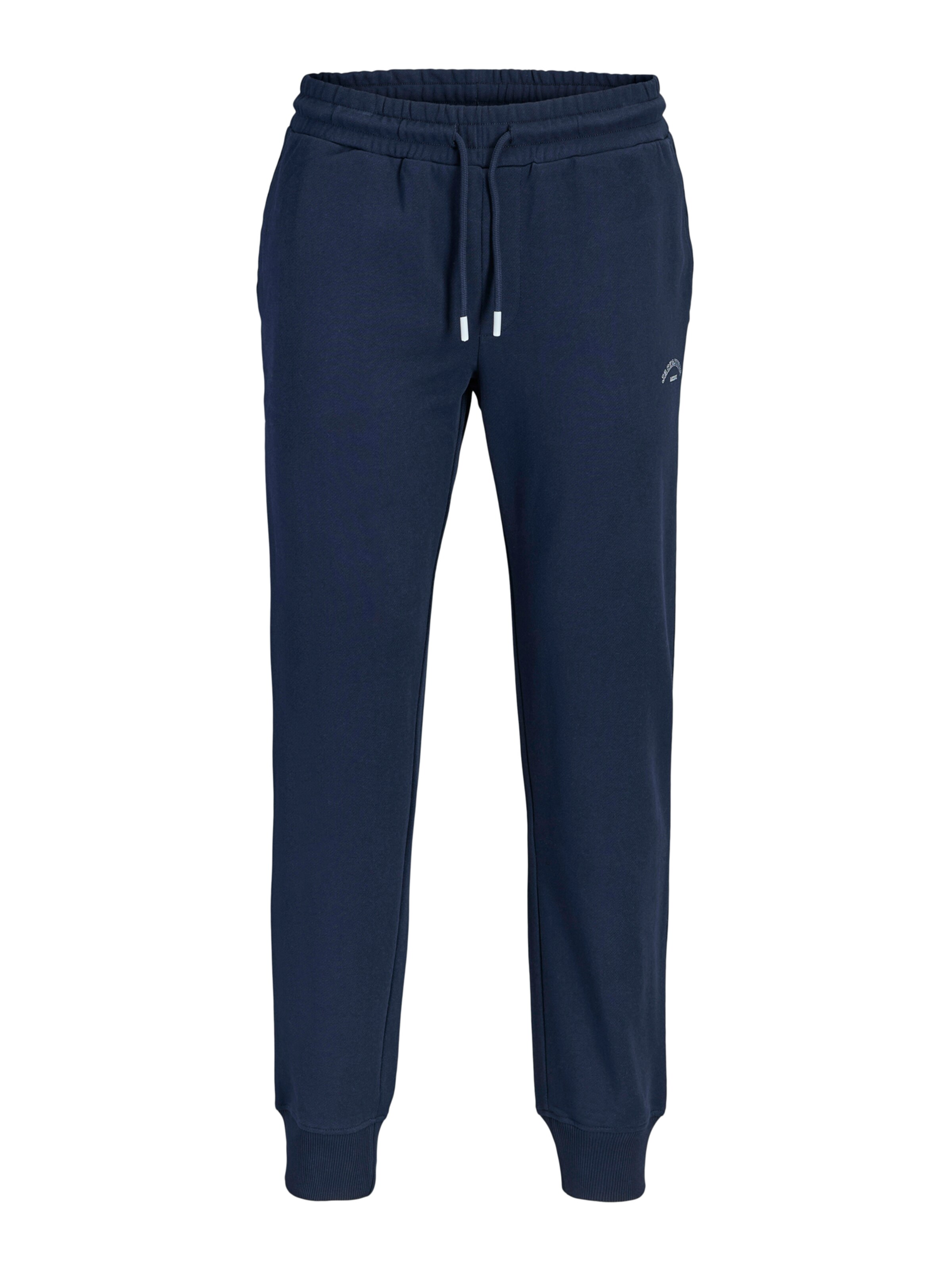 Jack & Jones Plus Tapered Trousers 'JPSTGORDON COLLEGE' in Blue: front