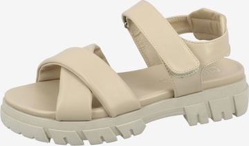 TOM TAILOR Sandals in Beige: front