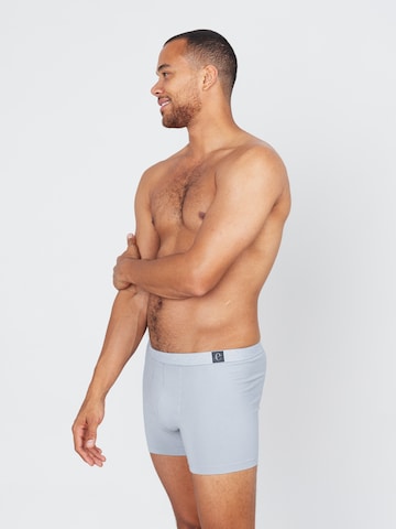 Erlich Textil Boxershorts'Gustav' in Grau