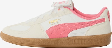 PUMA Σνίκερ 'Palermo Premium' σε λευκό: μπροστά