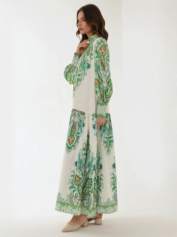 Hiccup Kleid in Grün