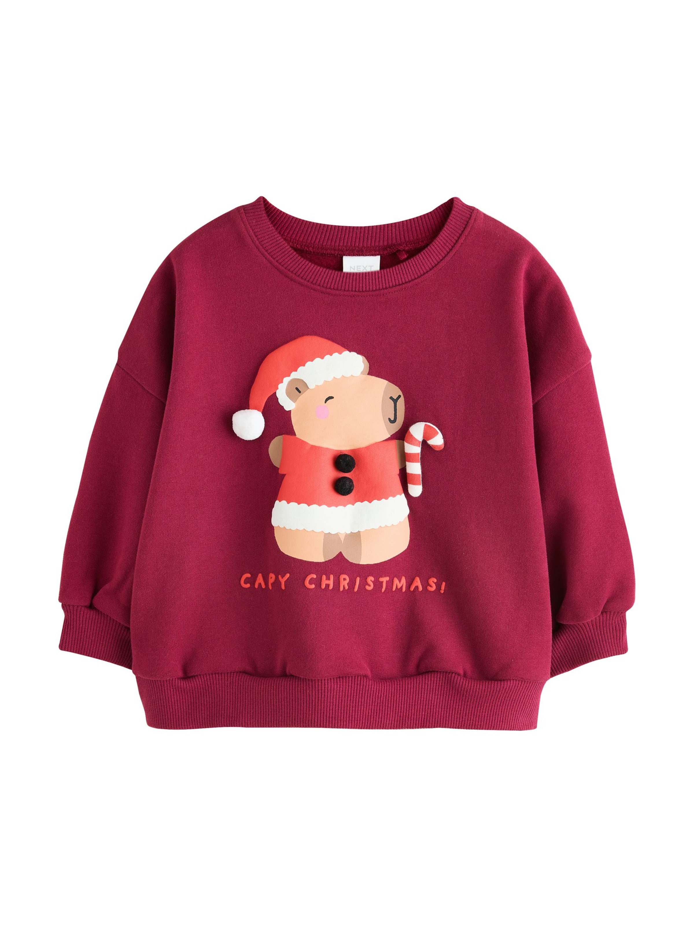 Next Sweatshirt in Rood: voorkant