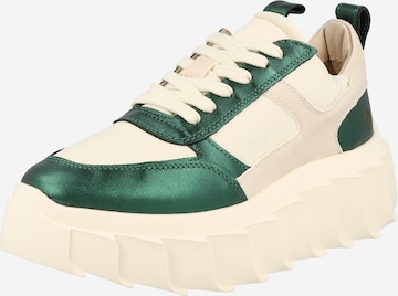 Apple of Eden Sneakers laag 'BLAIR' in Groen: voorkant