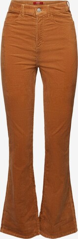 évasé Pantalon ESPRIT en marron : devant