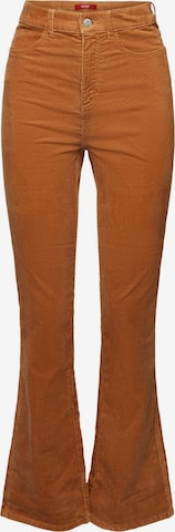 ESPRIT Pants in Brown: front