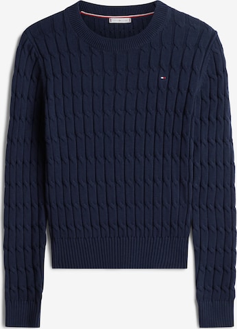 TOMMY HILFIGER Sweater in Blue: front
