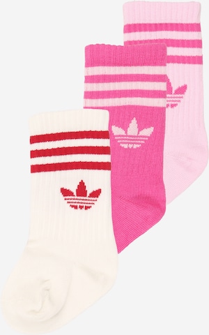 Chaussettes 'CREW SOCK 3P' ADIDAS ORIGINALS en violet : devant