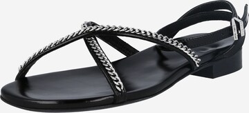 Zadig & Voltaire Strap sandal 'ROCKZY' in Black: front