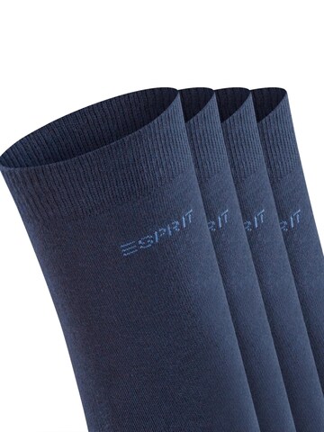 ESPRIT Socks 'Solid 4-Pack' in Blue