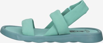 FLY LONDON Strap Sandals in Green