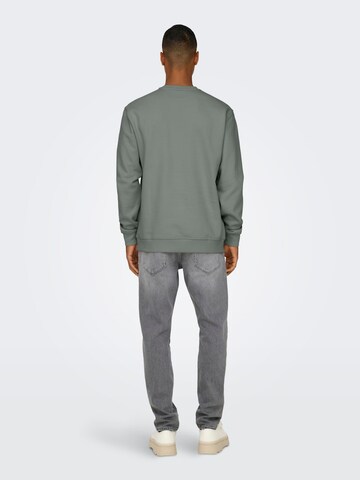 Only & Sons Sweatshirt 'ONSCurated' i grå