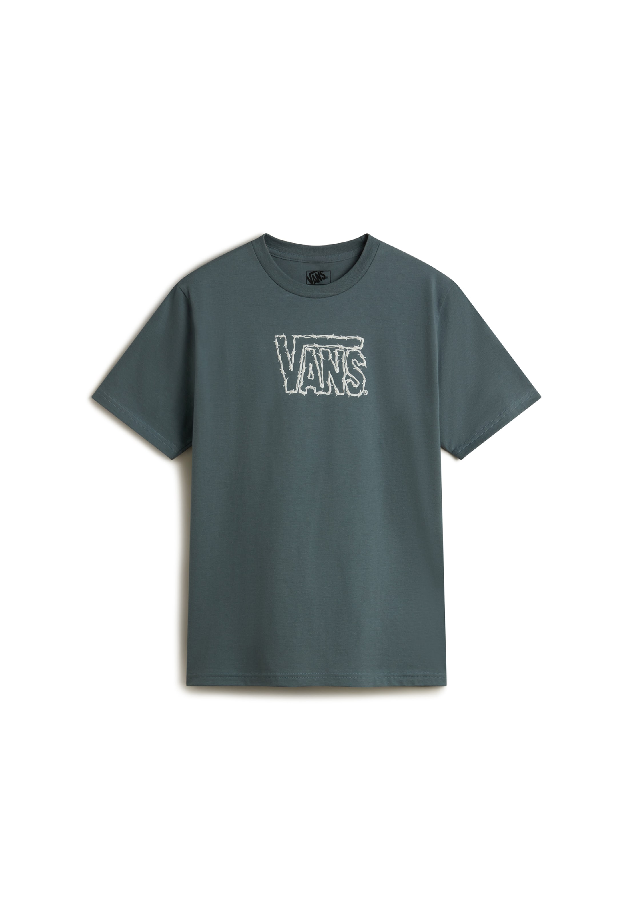 pilka VANS Marškinėliai 'Cactus Wire': priekis