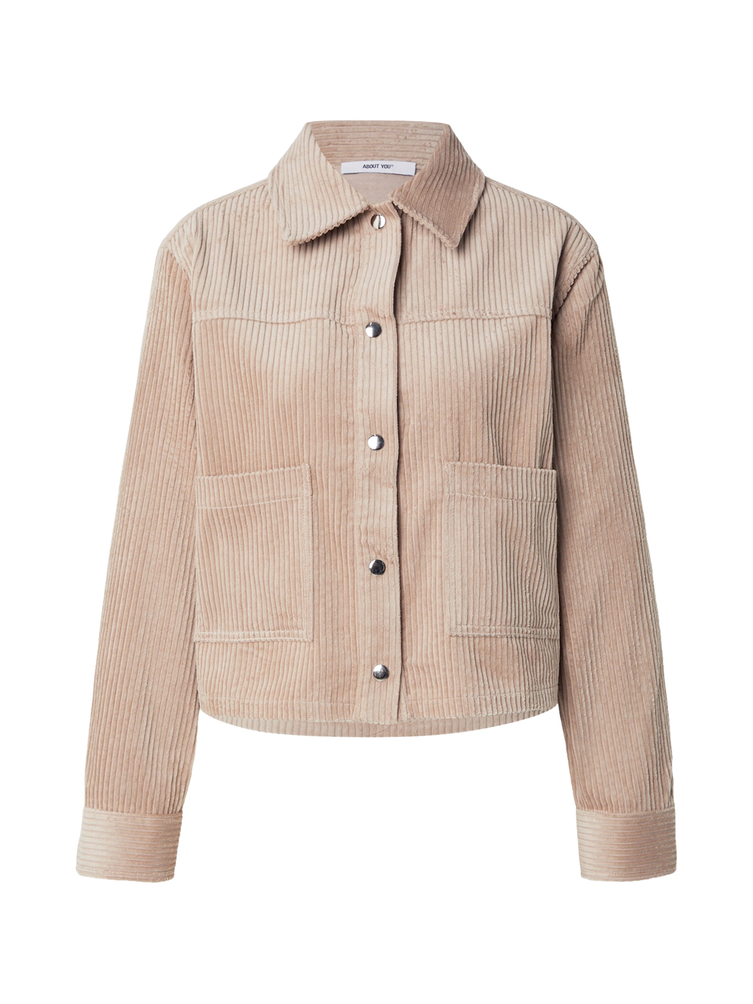 ABOUT YOU Övergångsjacka 'Tessa' i grå: framsida