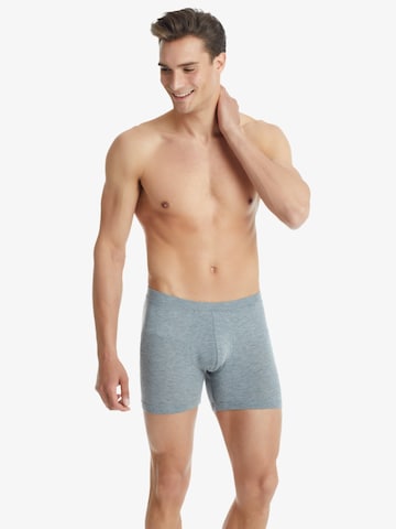 Blackspade Boxershorts in Grau: Vorderseite