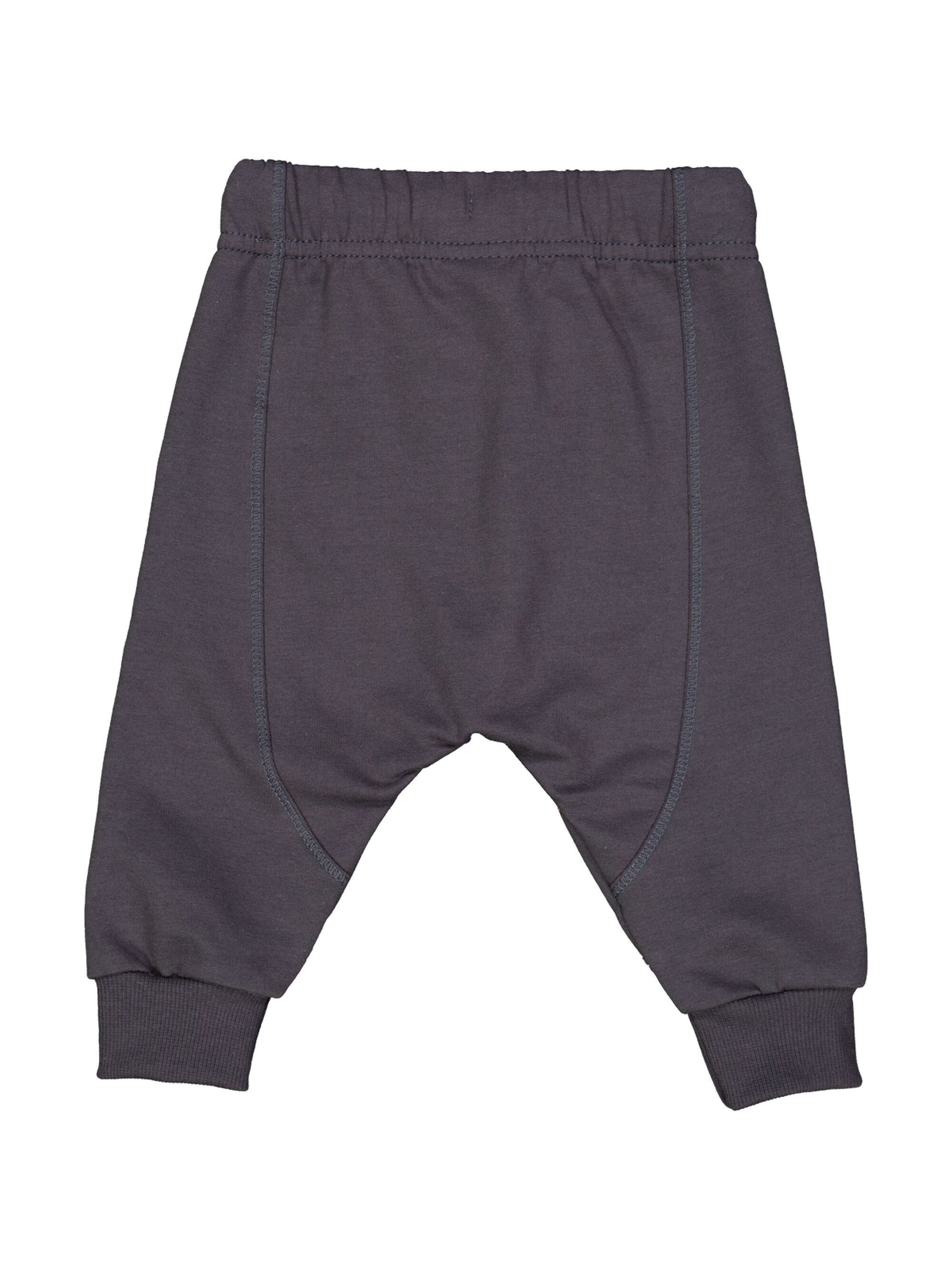 Müsli by GREEN COTTON Tapered Hose in Blau