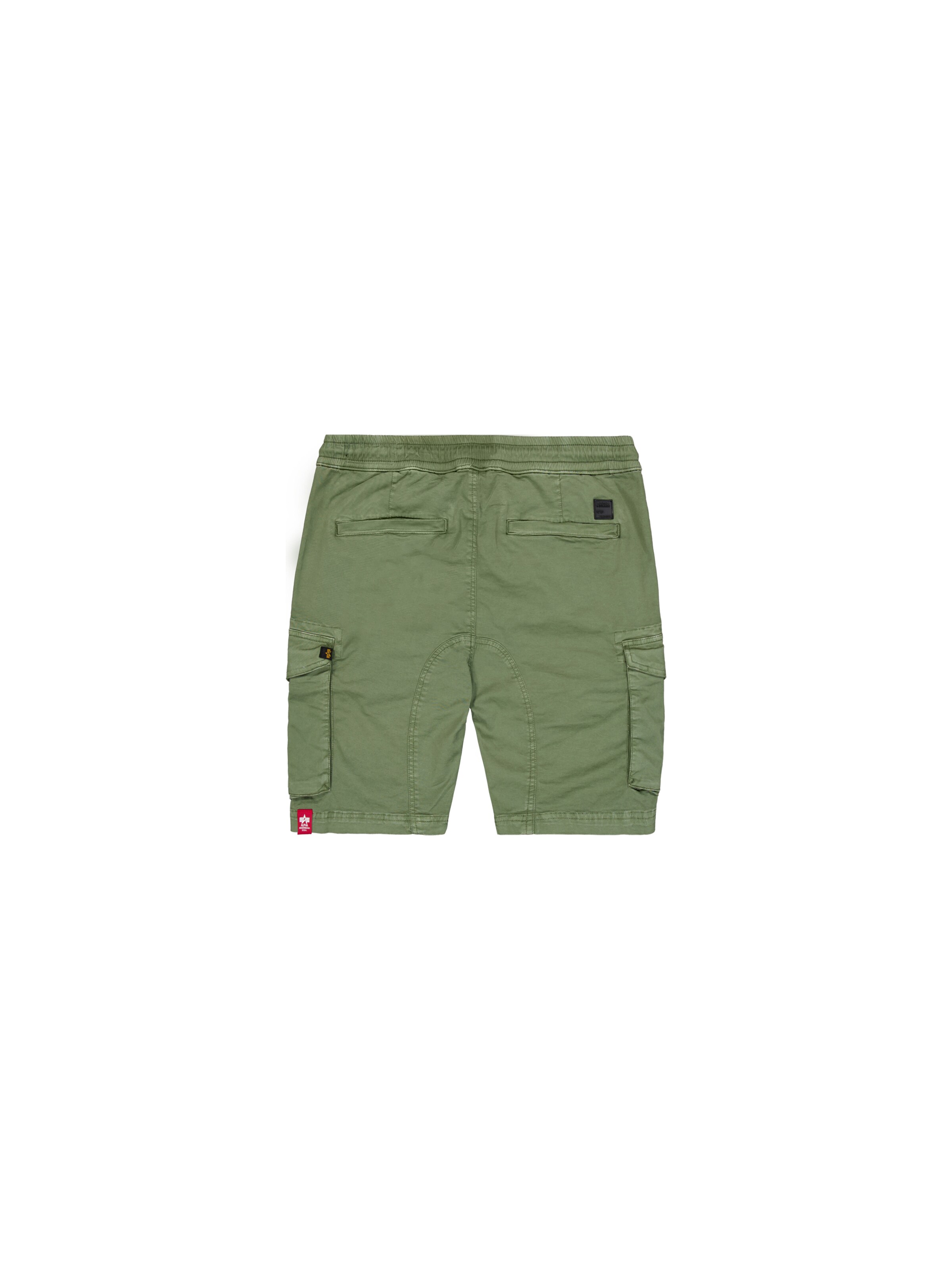 ALPHA INDUSTRIES Обычный Брюки-карго в Зеленый