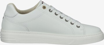 Baskets basses BULLBOXER en blanc