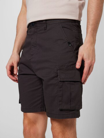 regular Pantaloni cargo di QUIKSILVER in grigio