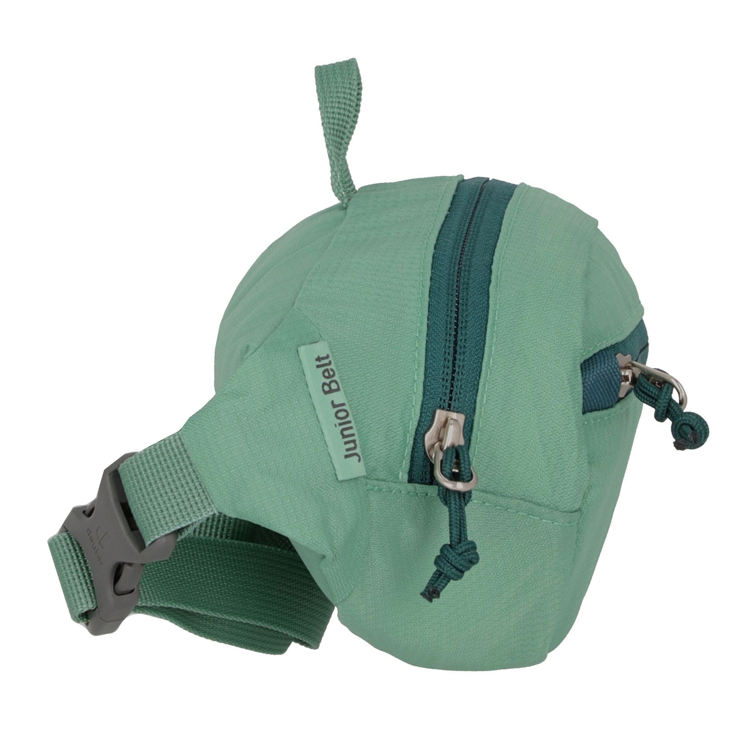 DEUTER Fanny Pack in Green