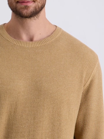 PIERRE CARDIN Pullover in Braun