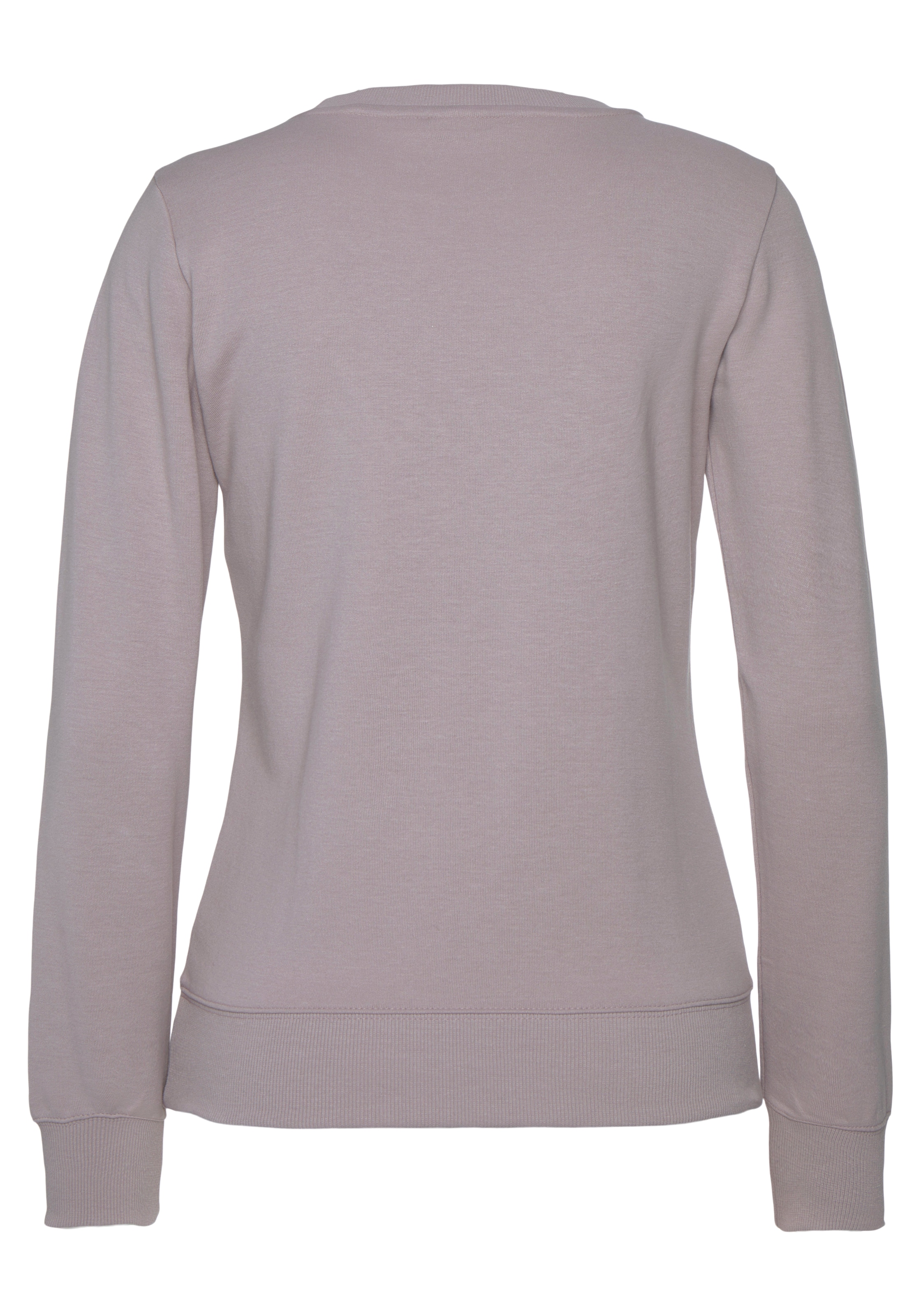 BENCH Sweatshirt in Lila