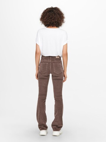ONLY Flared Pants in Brown