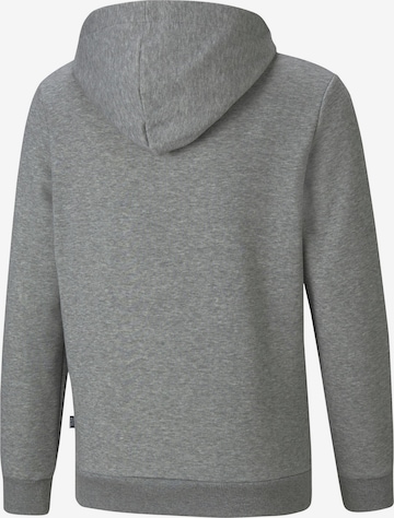 PUMA Sweatshirt in Grey
