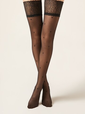 CALZEDONIA Overknee Strümpfe in Schwarz