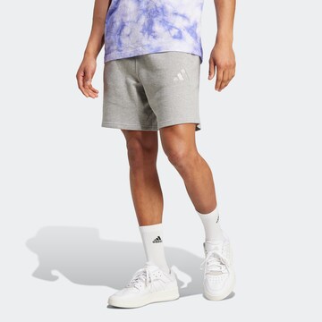 Regular Pantaloni sport de la ADIDAS SPORTSWEAR pe gri: față