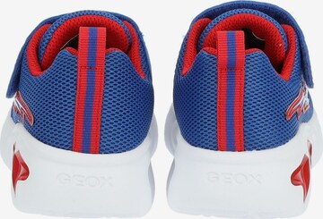 GEOX Sneakers in Blauw