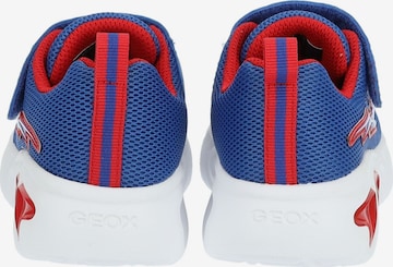 GEOX Sneaker in Blau