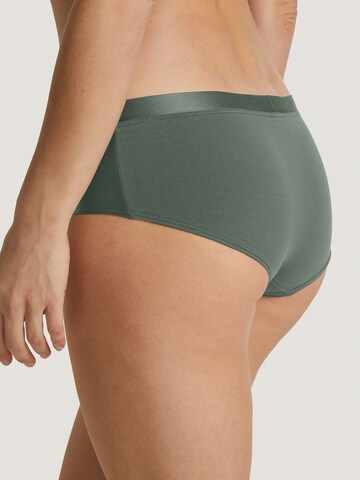 CALIDA Boyshorts in Green