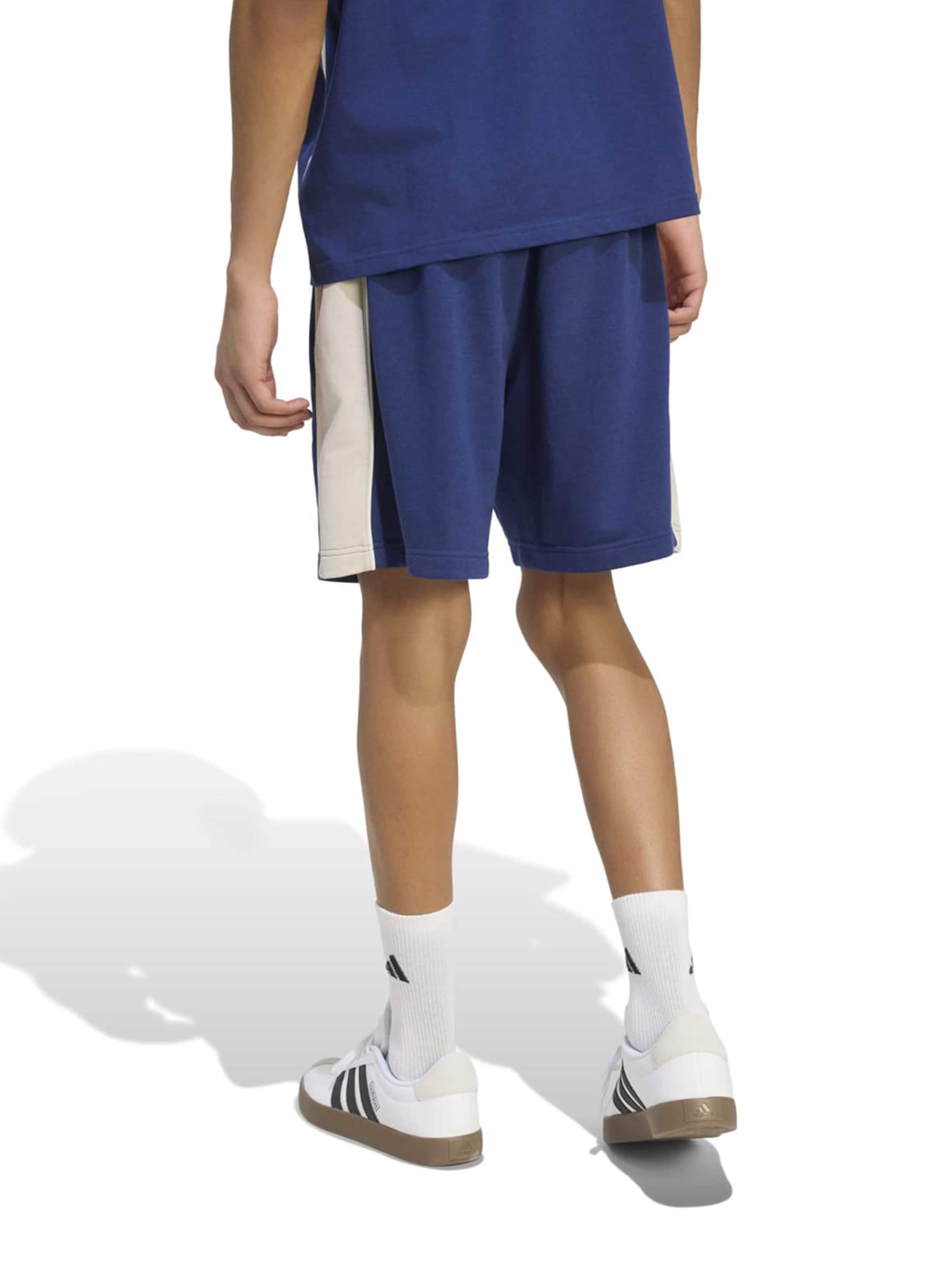 Loosefit Pantalon de sport 'CB' ADIDAS SPORTSWEAR en bleu
