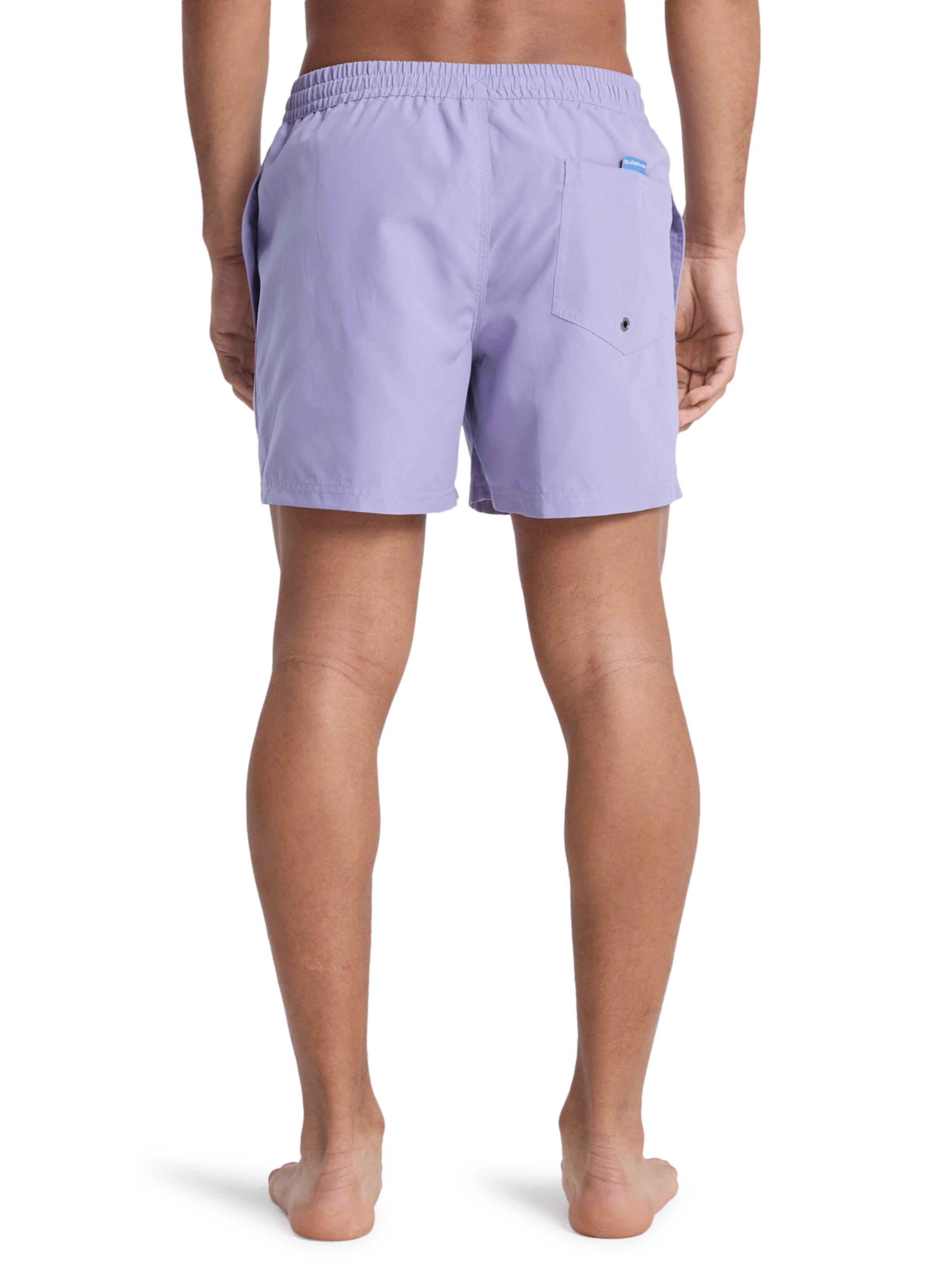 QUIKSILVER Regular Swimming shorts 'Solid 15' in Purple