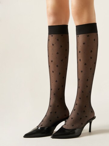 CALZEDONIA Kniestrümpfe in Schwarz