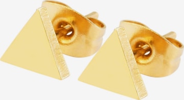 Akzent Earrings 'Talvi, langlebig' in Gold: front