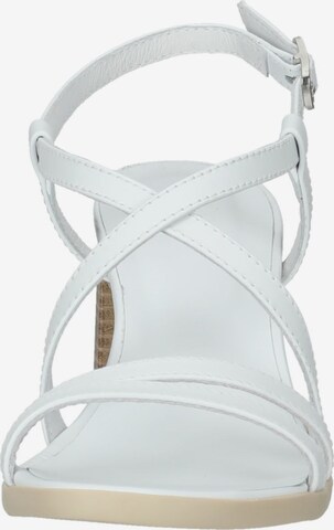 Nero Giardini Sandalen met riem in Wit