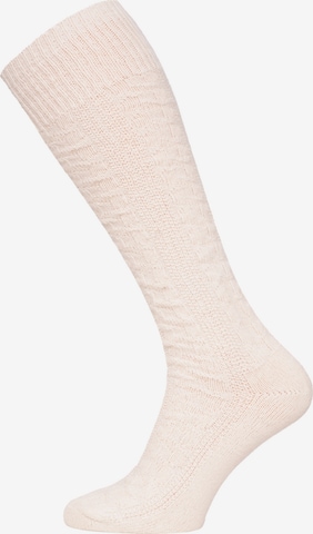 HomeOfSocks Knee High Socks 'HOSK702' in Beige: front