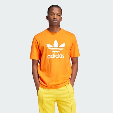 ADIDAS ORIGINALS T-Shirt 'Adicolor Trefoil' in Orange: predná strana
