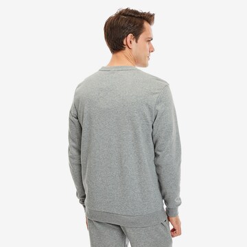 PUMA Sweatshirt in Grau