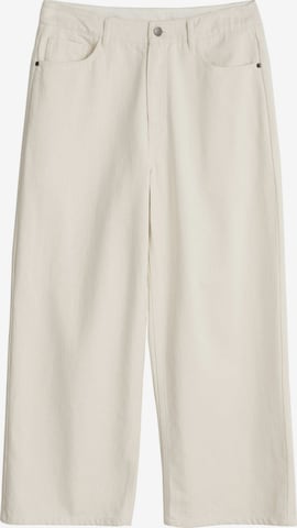 Seasalt Cornwall Regular Housut 'Barnes' värissä beige: etupuoli