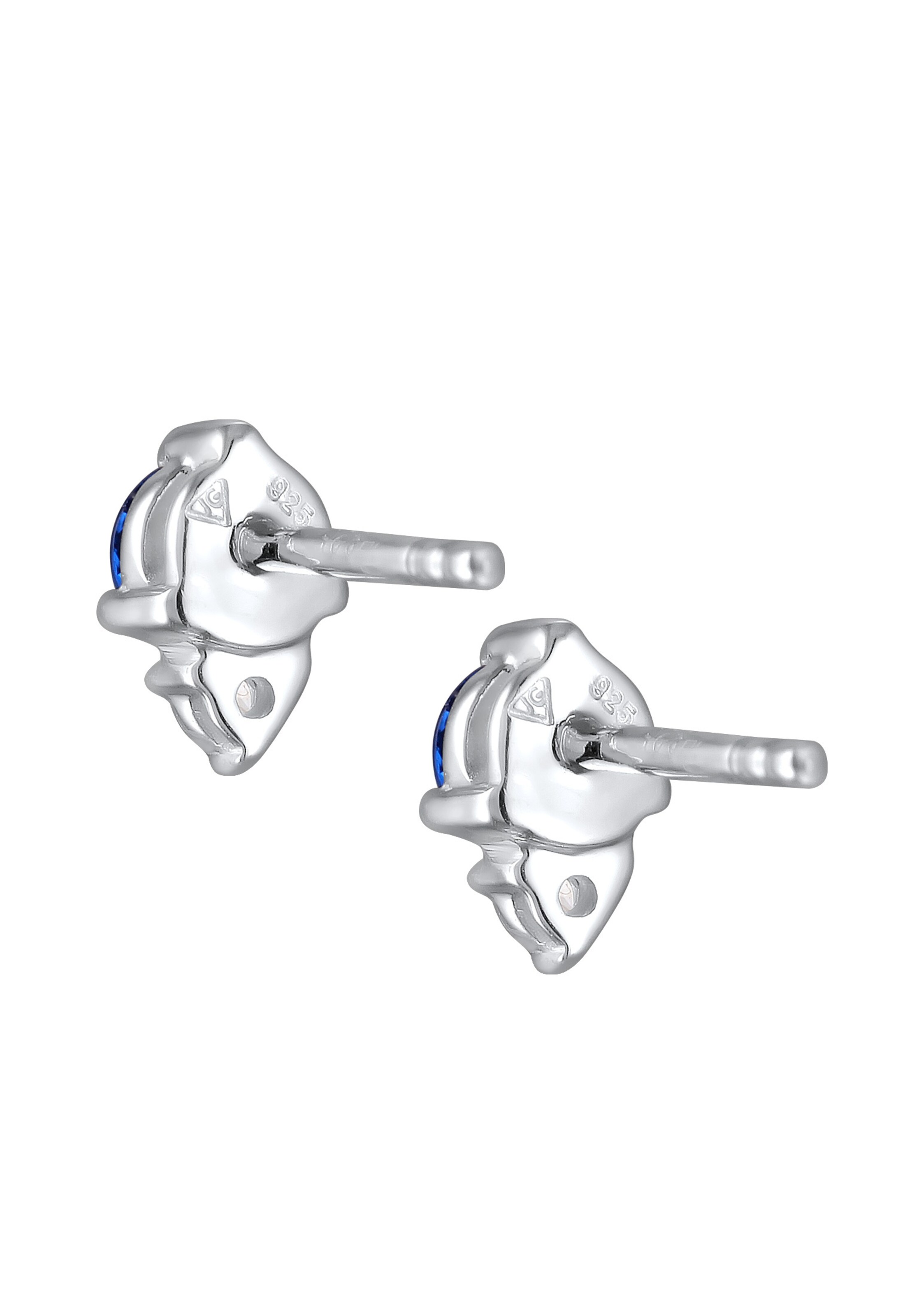 ELLI Oorbellen in Zilver