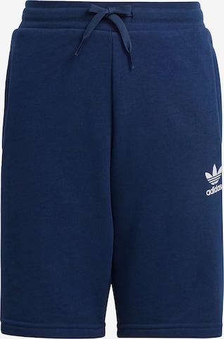 ADIDAS ORIGINALS Regular Broek 'Adicolor' in Blauw: voorkant