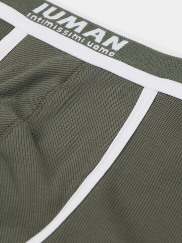 INTIMISSIMI Boxershorts in Grün