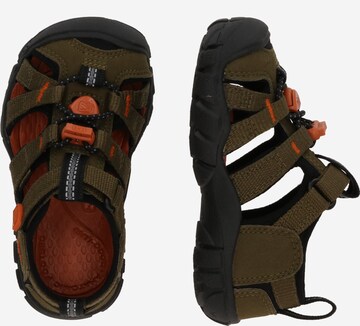 KEEN Sandal 'SEACAMP II' in Green