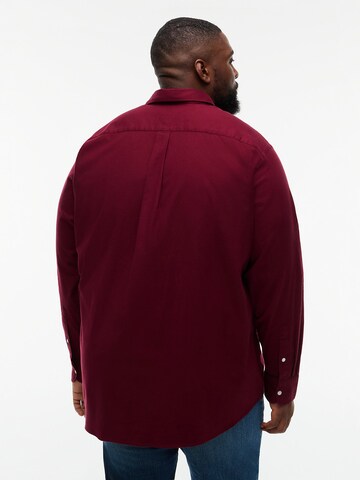 Tommy Hilfiger Big & Tall Regular Fit Hemd 'Flex' in Lila