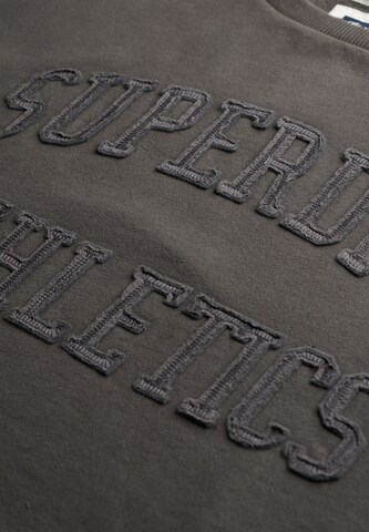 Superdry Sweatshirt in Grey