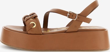 Sandalo con cinturino di CAFè NOIR in marrone: frontale
