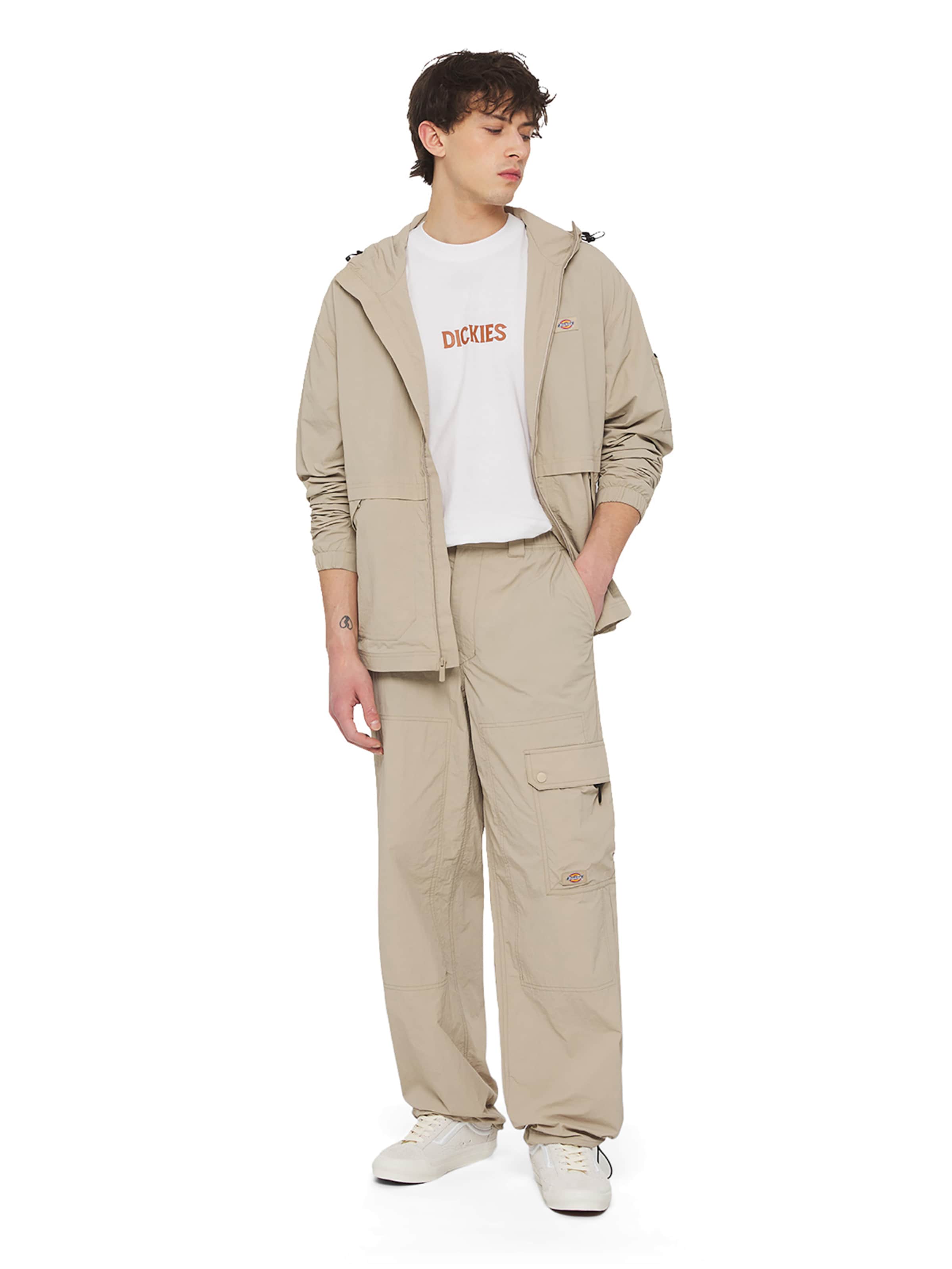 DICKIES regular Pantalon cargo JACKSON en Beige ABOUT YOU